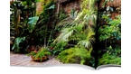 Imatge de pàgines interiors del llibre 'Barcelona. Secret Gardens/Jardines Secretos'. Detall d'una fotografia d'un jardí.