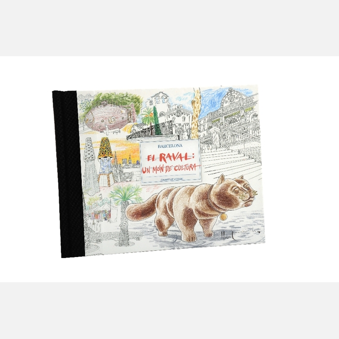 Imatge de la coberta del llibre El Raval Carnet de Voyage
