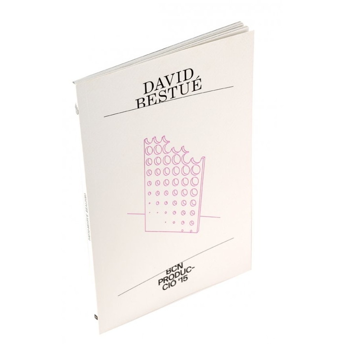 Imatge de coberta del llibre David Bestué/Realisme