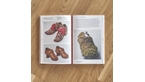 Imatge de les pàgines interiors del llibre 'Matter Matters' (català)